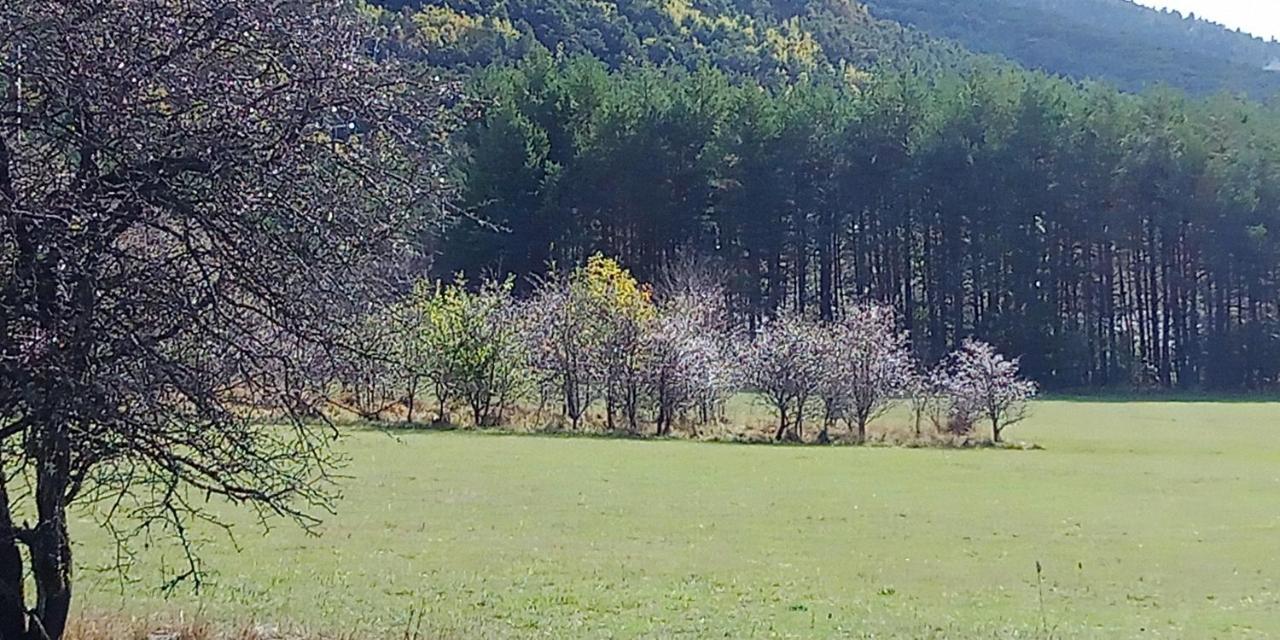 Montagne, Mer Et Verdon Séranon Esterno foto
