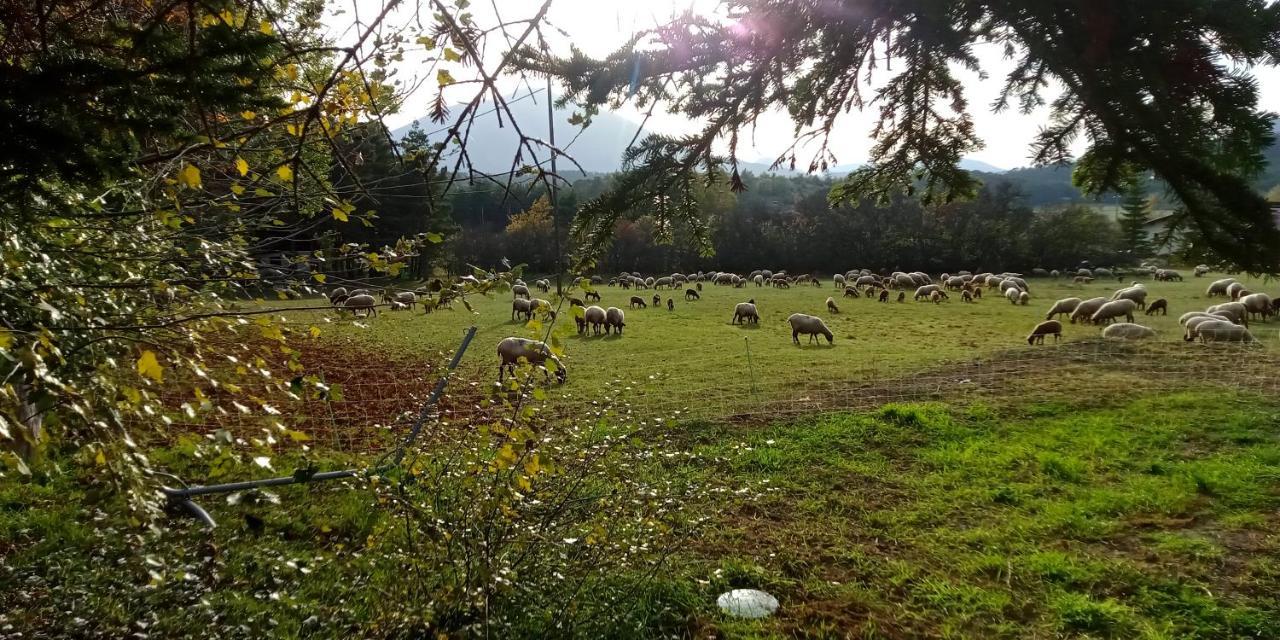 Montagne, Mer Et Verdon Séranon Esterno foto