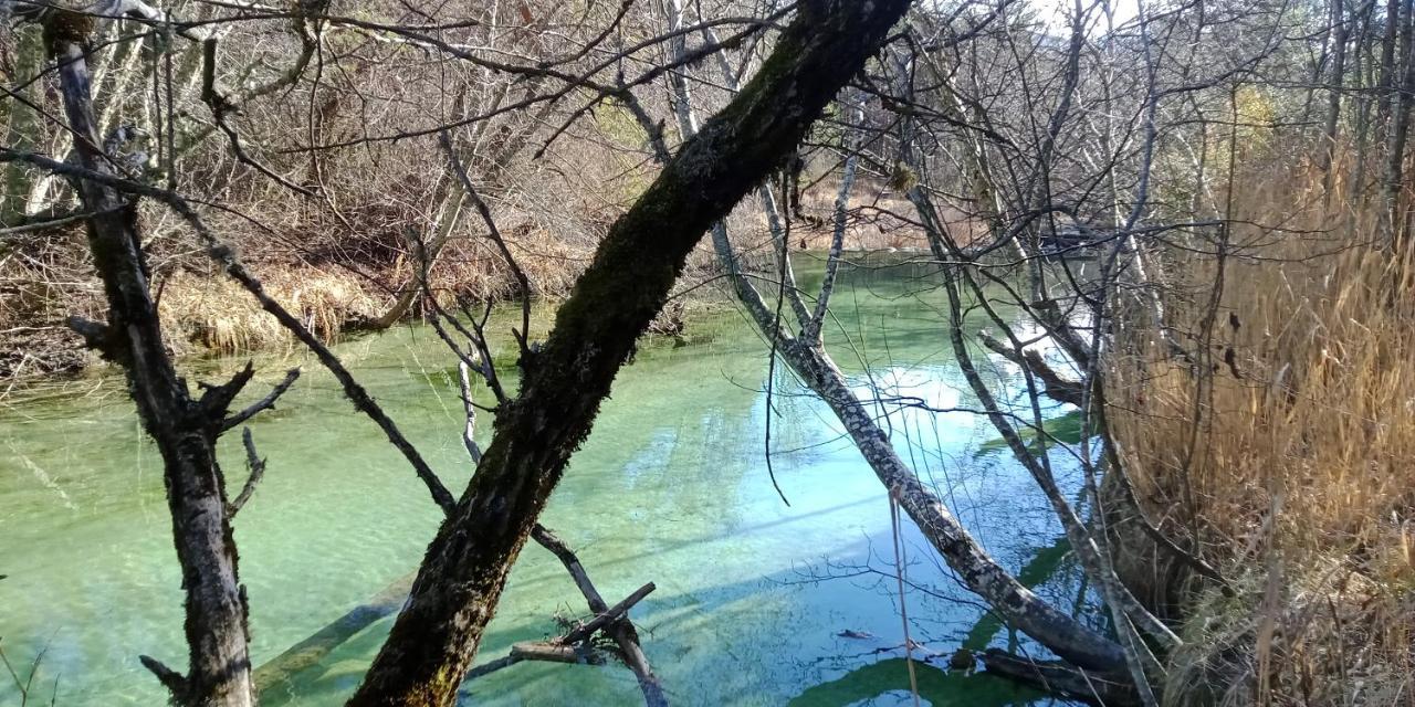 Montagne, Mer Et Verdon Séranon Esterno foto